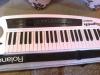 TULCEA Vand Roland Ax Synth
